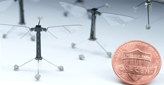 A Robot Inspired by the Biology of a Bee — RoboBee from Harvard University